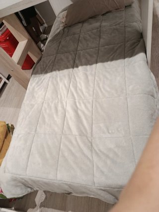 Cama tren con 2 colchones
