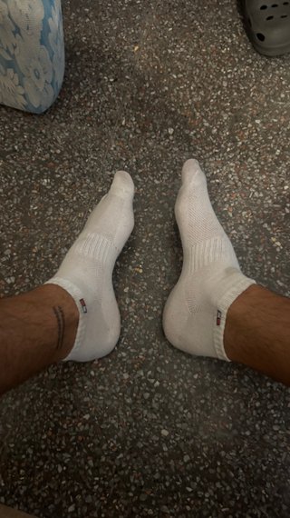 Calcetines Tommy Hilfiger Talla Única Blancos