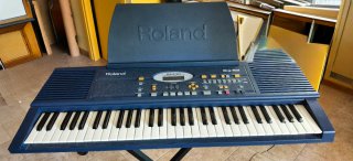Teclado Roland EM-10