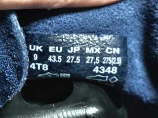 Zapatos Timberland Azul Marino