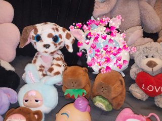 peluches variados