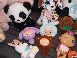 peluches variados
