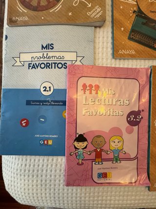 Libros 2 primaria Anaya y big bright ideas