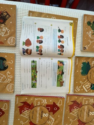 Libros 2 primaria Anaya y big bright ideas