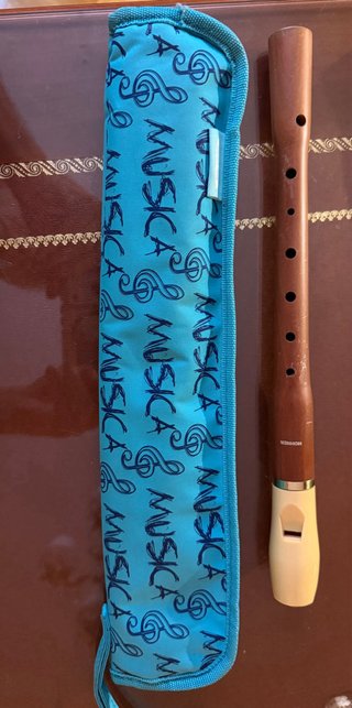 Lote 3 flautas dulces con estuches