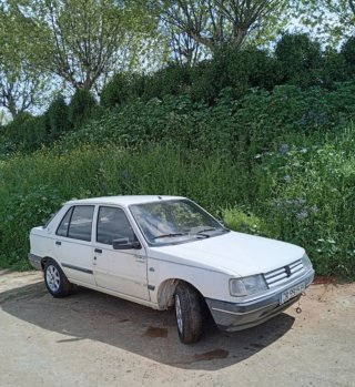 Peugeot 309 1992