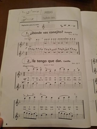 Libro Flauta Travesera