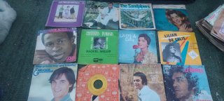 Lote discos vinilo variados