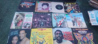 Lote discos vinilo variados
