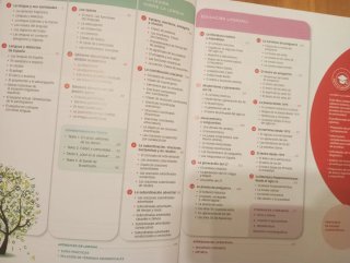 Lengua Castellana y Literatura, 2 Bachillerato,...