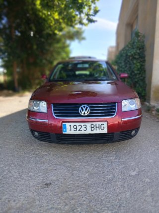 Volkswagen Passat 2001