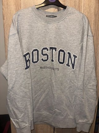 Sudadera Boston Massachusetts Gris