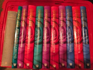 Libros romanticos