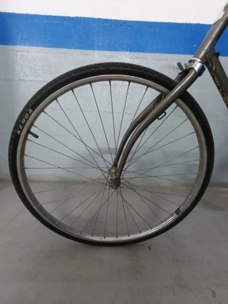 Bicicleta Paseo Phoenix