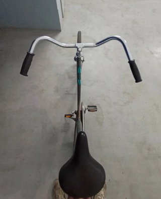 Bicicleta Paseo Phoenix