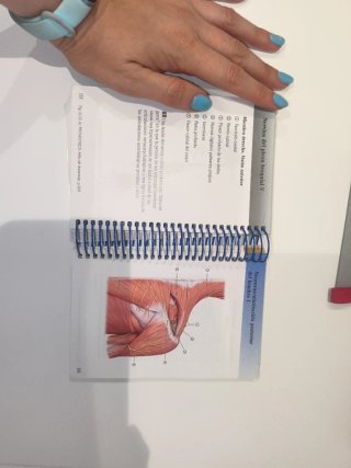 Atlas de Anatomía Fichas de autoevaluación