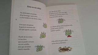Libro "Los Olchis y el pirata negro"