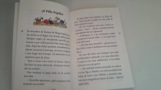 Libro "Los Olchis y el pirata negro"
