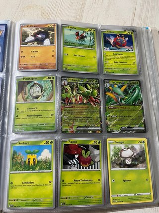 Colección Cartas Pokémon