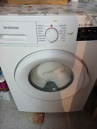 Lavadora Daewoo 6kg 1000rpm