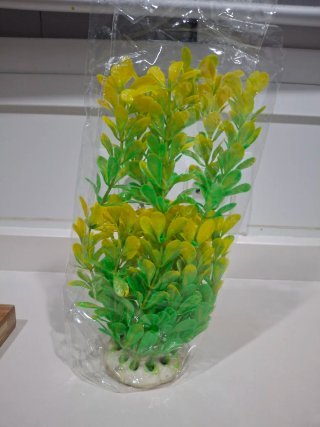 Planta decorativa para acuario