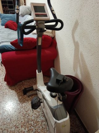 Bicicleta Estática Pro-Form Buen Estado