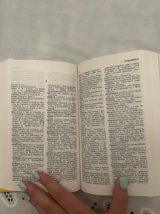 Diccionario Moderno de alemán Santillana