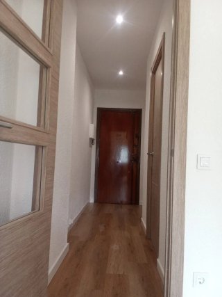 Montaje de puertas y tapetas