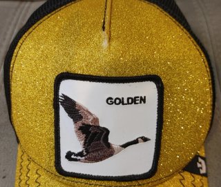 Gorra Goorin Bros "Golden"