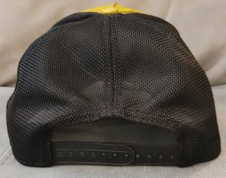 Gorra Goorin Bros "Golden"