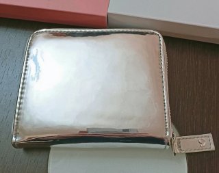 Monedero Swarovski plateado con cristalitos.