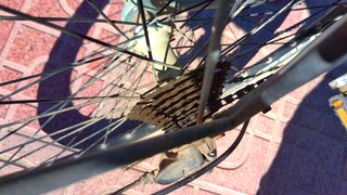 Bicicleta de paseo Orbea con cesta