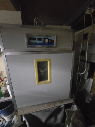Incubadora Automática Digital Massalles