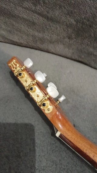 Guitarra acústica Takamine