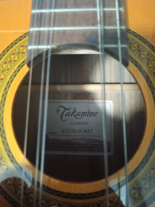 Guitarra acústica Takamine