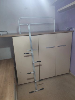 Cama tren SE REGALA