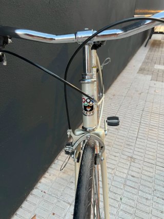 Bicicleta Paseo Alcyon Vintage