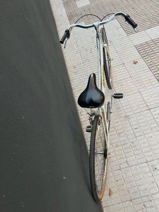 Bicicleta Paseo Alcyon Vintage