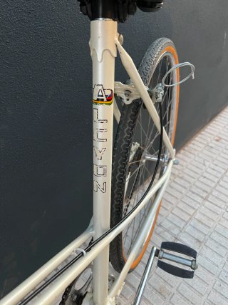 Bicicleta Paseo Alcyon Vintage