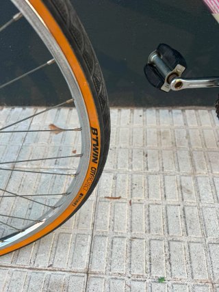 Bicicleta Paseo Alcyon Vintage