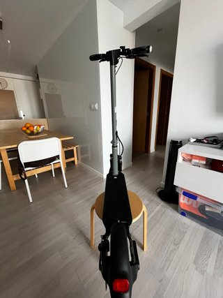 Patinete Eléctrico Zwheel Zfox Max