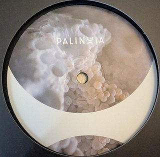 Vinilo 12 Techno Eric Cloutier - Booty Grooves