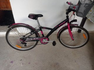 Bicicleta Paseo