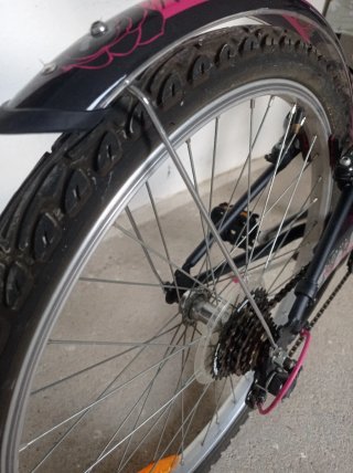 Bicicleta Paseo
