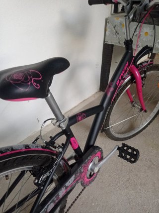 Bicicleta Paseo