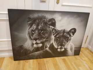 Cuadro Leones en Blanco y Negro