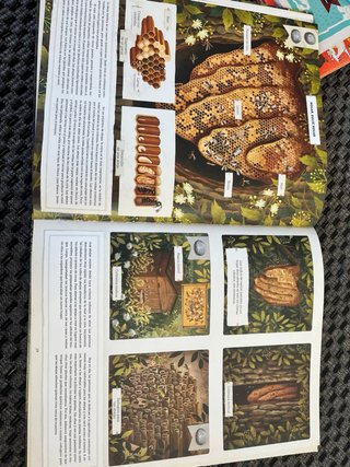 Libro de gran tamaño Construcciones animales