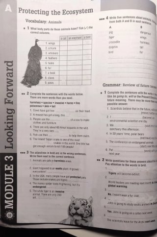 Think Ahead ESO 3 : Workbook
