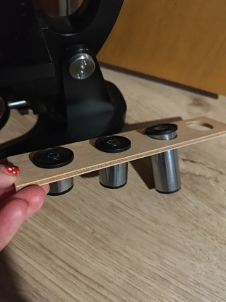 Microscopio Greifeldt Typ 2