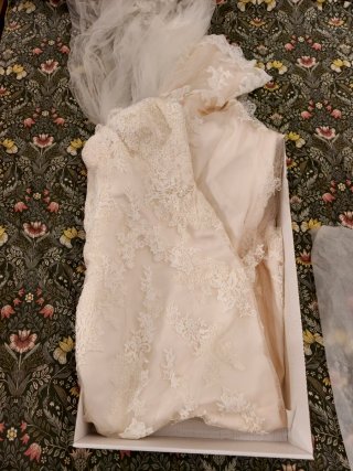 Vestido de Novia Encaje Beige/Blanco